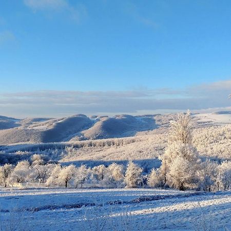Nature Homestay Trenčín Eksteriør bilde