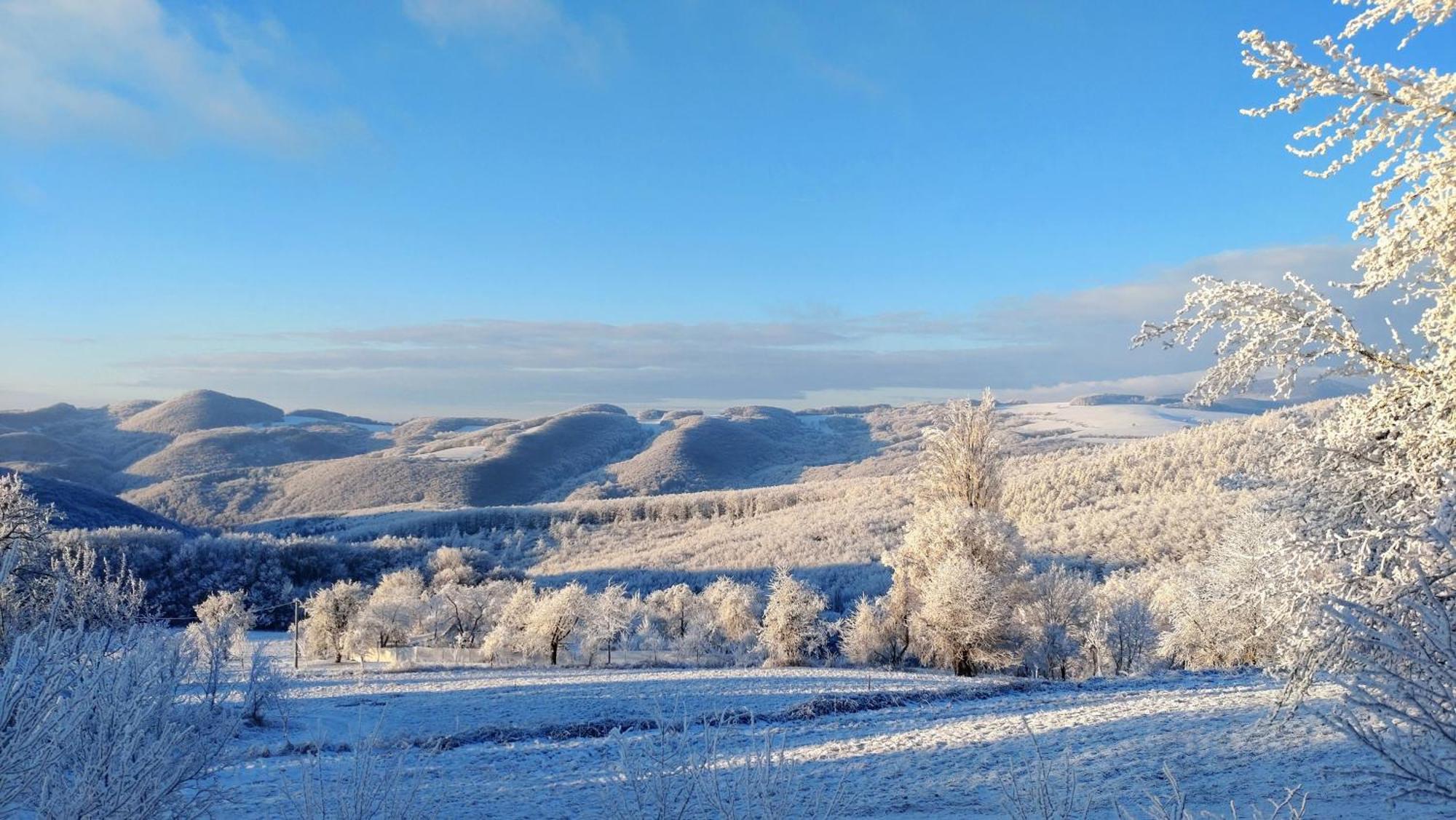 Nature Homestay Trenčín Eksteriør bilde